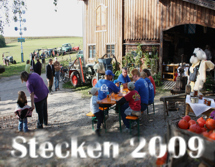 Stecken_2009