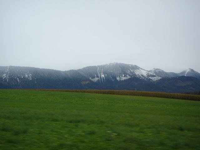dsc08801.jpg - Winter wirds...