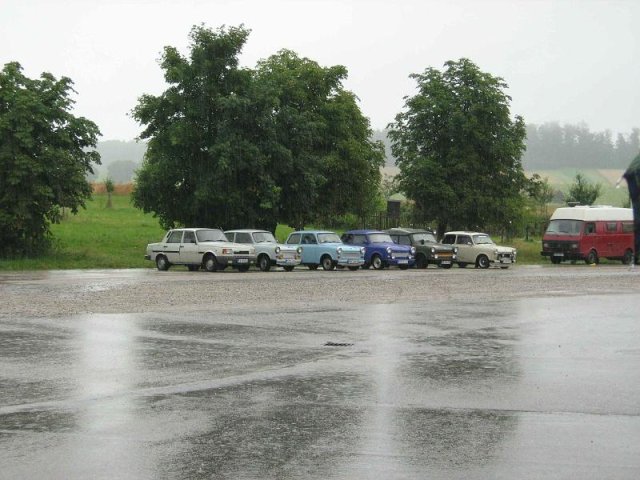 IMG_0094.jpg - endlich alles in Reih und Glied - da warens nur noch 6