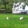 Auf Wiedersehen, bis zum nächsten Mal!