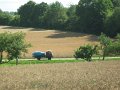 IMG_4879