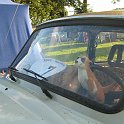 IMG_5892